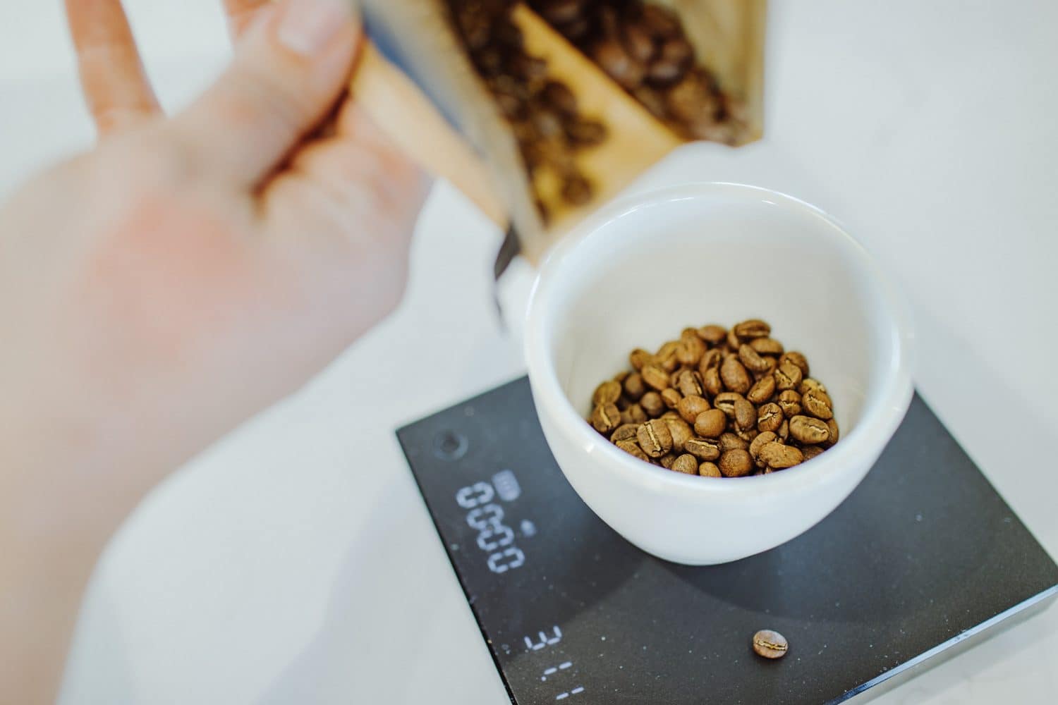 Freshly roasted coffee beans in a cup on a scale