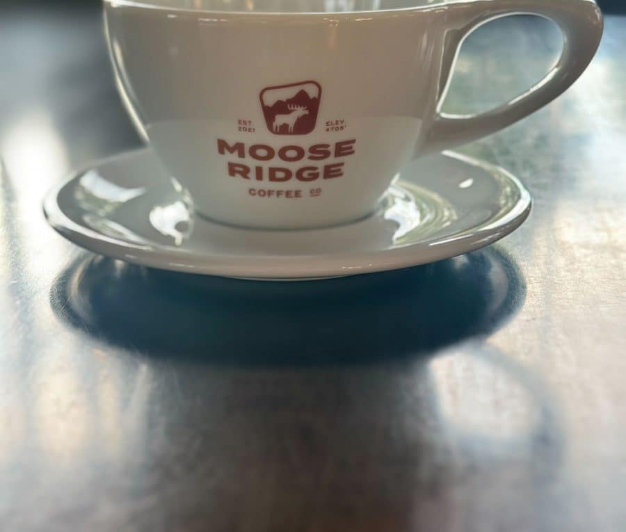 Moose Ridge cappuccino cup and saucer